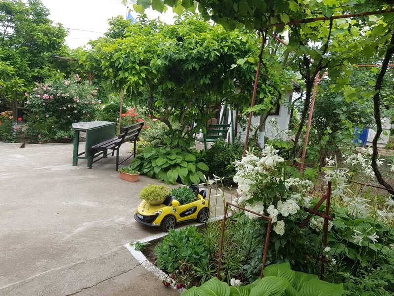 Floroaica, jud. Calarasi, 90 km fata de Bucuresti si 20 km fata de Calarasi