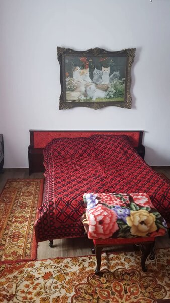 Floroaica, jud. Calarasi, 90 km fata de Bucuresti si 20 km fata de Calarasi