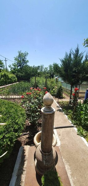 Floroaica, jud. Calarasi, 90 km fata de Bucuresti si 20 km fata de Calarasi