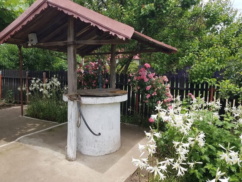 Floroaica, jud. Calarasi, 90 km fata de Bucuresti si 20 km fata de Calarasi